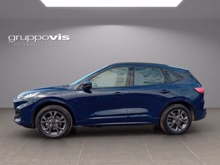 FORD Kuga phev ST-Line 2wd Automatica