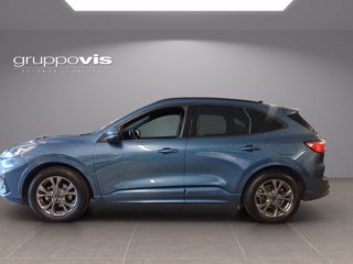 FORD Kuga ecoblue ST-Line 2wd  Automatica AUTOCARRO