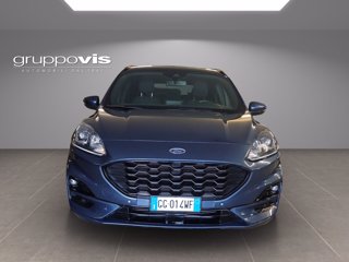 FORD Kuga ecoblue ST-Line 2wd  Automatica AUTOCARRO