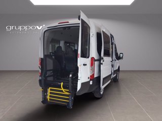FORD Transit 350 130cv trend L2H2 ALLESTIMENTO DIVERSAMENTE ABILI CARR. FOCACCIA