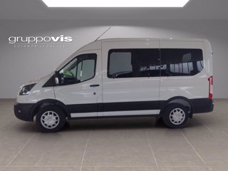 FORD Transit 350 130cv trend L2H2 ALLESTIMENTO DIVERSAMENTE ABILI CARR. FOCACCIA