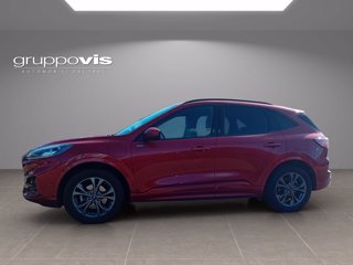 FORD Kuga phev ST-Line X 2wd Automatica