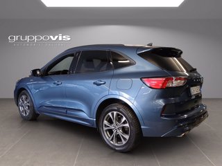 FORD Kuga full hybrid ST-Line X 2wd Automatica