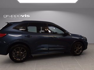 FORD Kuga full hybrid ST-Line X 2wd Automatica