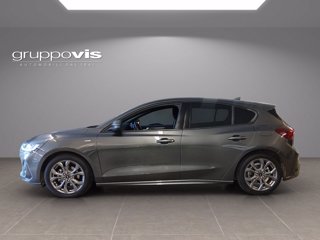 FORD Focus ecoblue ST-Line Automatica 5 porte