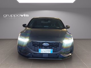 FORD Focus ecoblue ST-Line Automatica 5 porte