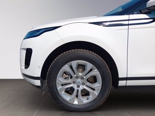 LAND ROVER Range Rover Evoque i3 phev SE awd Automatica