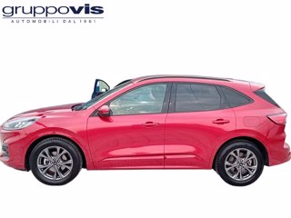 FORD Kuga full hybrid ST-Line 2wd Automatica