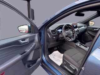 FORD Kuga ecoblue ST-Line 2wd Automatica