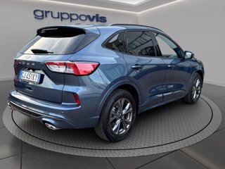 FORD Kuga ecoblue ST-Line 2wd Automatica