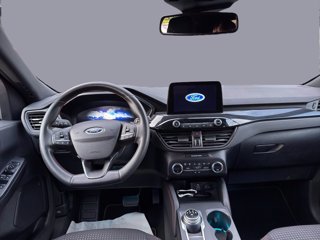 FORD Kuga ecoblue ST-Line 2wd Automatica