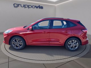 FORD Kuga full hybrid ST-Line 2wd Automatica