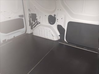 RENAULT kangoo express 1.5 dci 95cv Blue Ice Plus E6d-temp