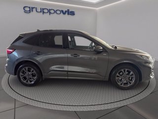 FORD Kuga ecoboost ST-Line 2wd Automatica