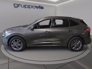 FORD Kuga full hybrid ST-Line 2wd Automatica