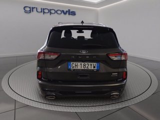 FORD Kuga full hybrid ST-Line 2wd Automatica