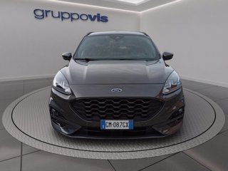 FORD Kuga ecoblue ST-Line 2wd