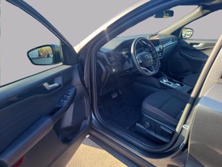 FORD Kuga full hybrid ST-Line 2wd Automatica