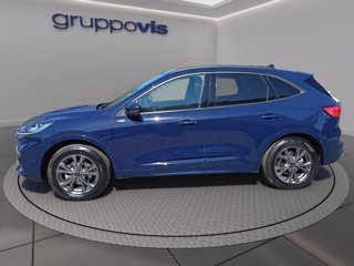 FORD Kuga full hybrid ST-Line X awd Automatica