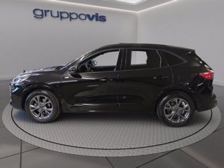 FORD Kuga full hybrid ST-Line 2wd Automatica