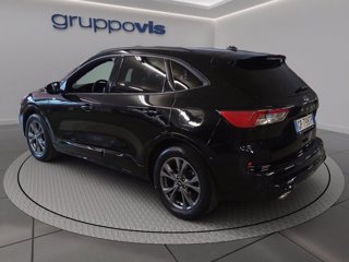 FORD Kuga full hybrid ST-Line 2wd Automatica