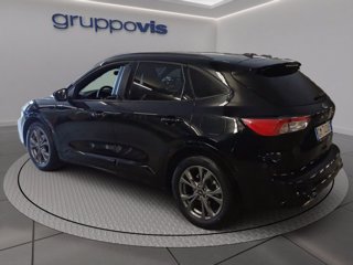 FORD Kuga full hybrid ST-Line 2wd Automatica
