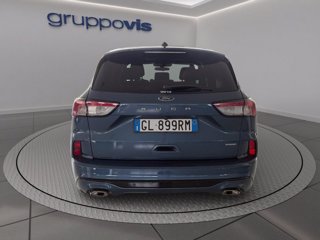 FORD Kuga full hybrid ST-Line 2wd Automatica
