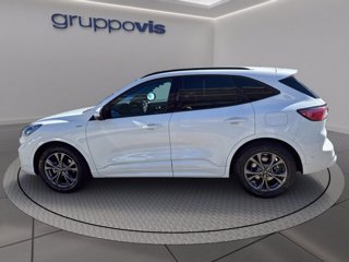 FORD Kuga ecoblue ST-Line X 2wd Automatica AUTOCARRO