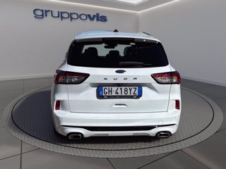 FORD Kuga ecoblue ST-Line X 2wd Automatica AUTOCARRO