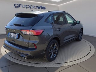 FORD Kuga full hybrid ST-Line 2wd Automatica