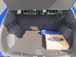 FORD Kuga phev ST-Line X 2wd Automatica