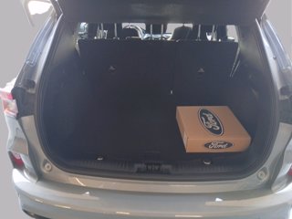 FORD Kuga phev ST-Line X 2wd Automatica