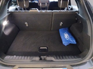 FORD Puma m-hybrid ST-Line