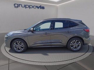 FORD Kuga full hybrid ST-Line 2wd Automatica
