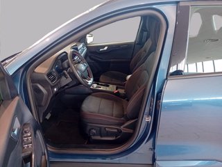 FORD Kuga full hybrid ST-Line 2wd Automatica
