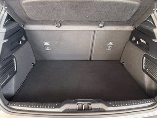 FORD Focus ecoblue ST-Line 5 porte