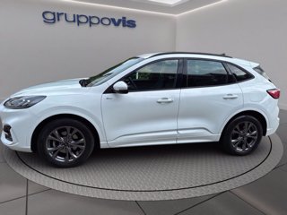 FORD Kuga full hybrid ST-Line 2wd Automatica