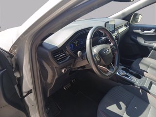 FORD Kuga full hybrid ST-Line 2wd Automatica