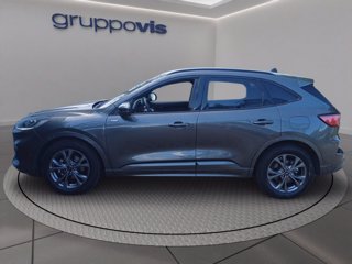 FORD Kuga ecoblue ST-Line X 2wd Automatica