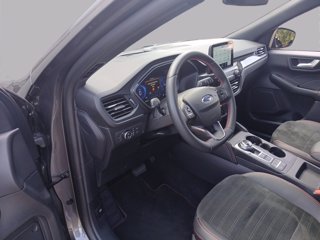 FORD Kuga ecoblue ST-Line X 2wd Automatica