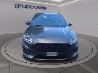 FORD Kuga ecoblue ST-Line X 2wd Automatica