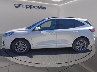 FORD Kuga ecoblue ST-Line X 2wd Automatica
