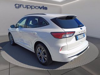 FORD Kuga ecoblue ST-Line X 2wd Automatica