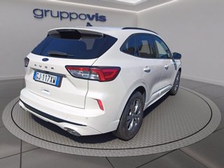 FORD Kuga ecoblue ST-Line X 2wd Automatica