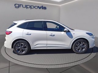 FORD Kuga ecoblue ST-Line X 2wd Automatica