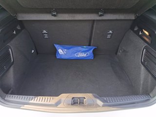 FORD Focus m-hybrid ST-Line 5 porte