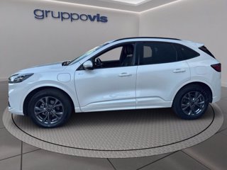 FORD Kuga phev ST-Line X 2wd Automatica