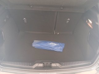 FORD Focus m-hybrid ST-Line 5 porte