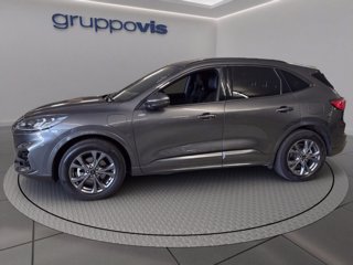 FORD Kuga phev ST-Line X 2wd Automatica