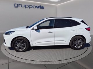 FORD Kuga full hybrid ST-Line X 2wd Automatica